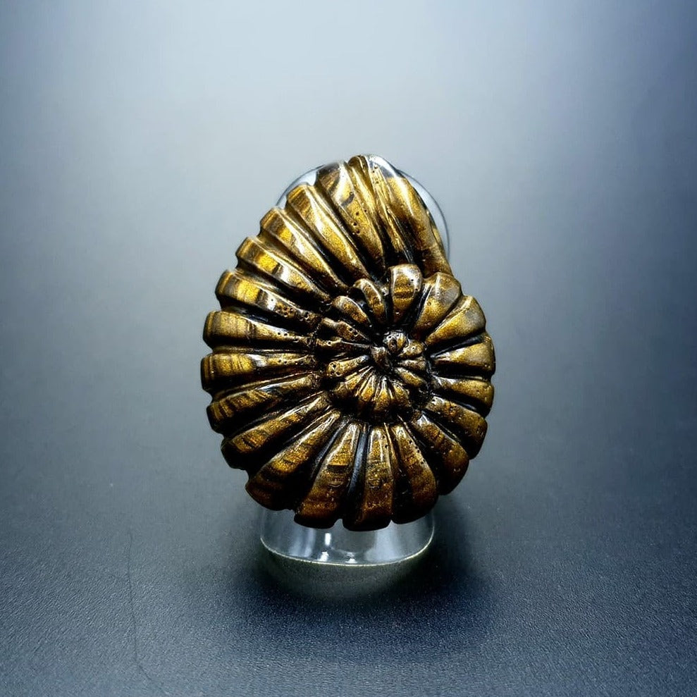 "Ammonite" Ring Ring SweetyBijou Jewelry Default Title
