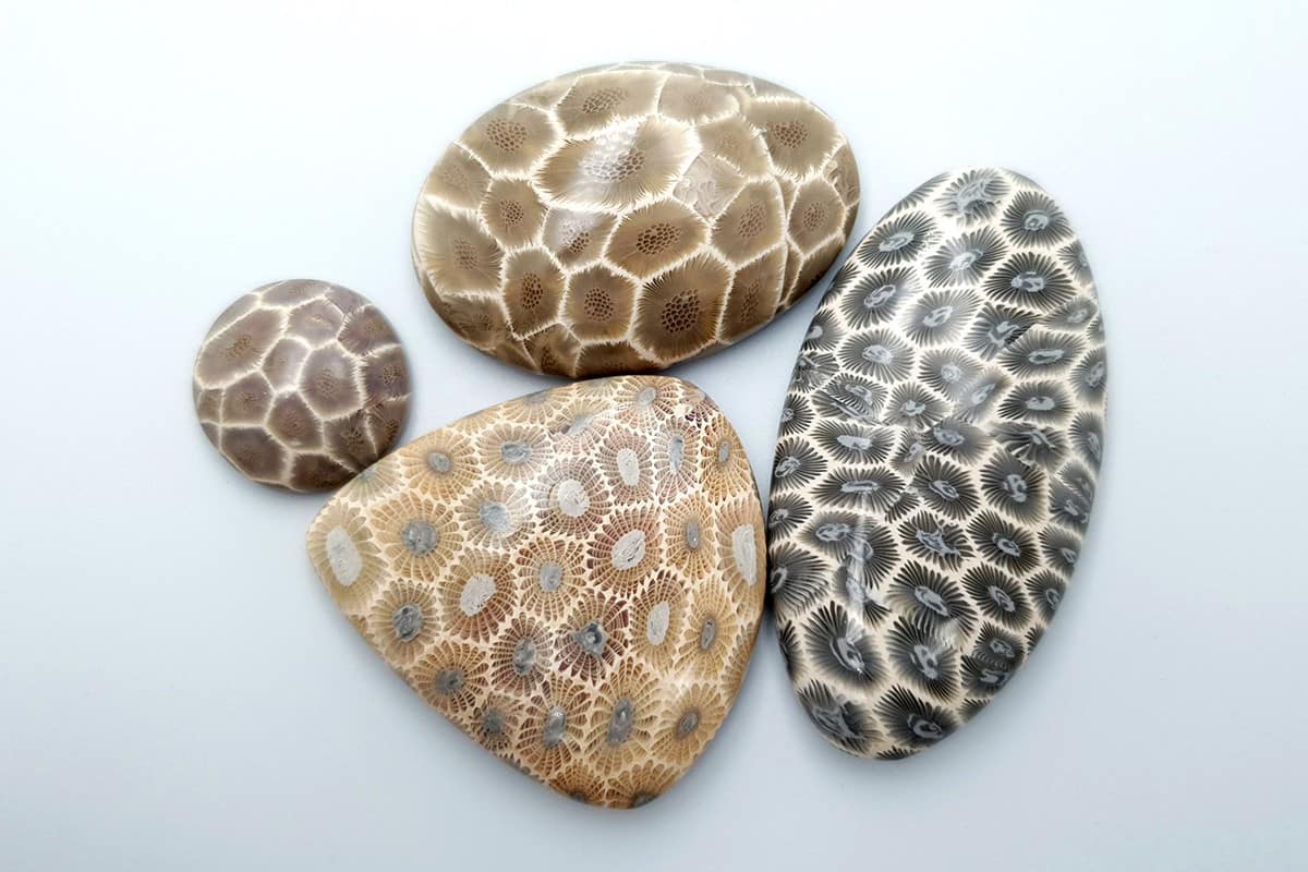 4 cabochons Faux Petoskey Stone from Polymer Clay Cabochons SweetyBijou Cabochons Default Title