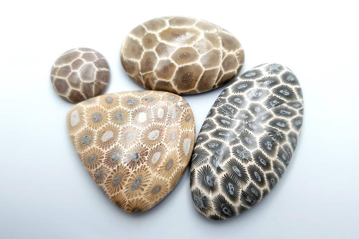 4 cabochons Faux Petoskey Stone from Polymer Clay Cabochons SweetyBijou Cabochons