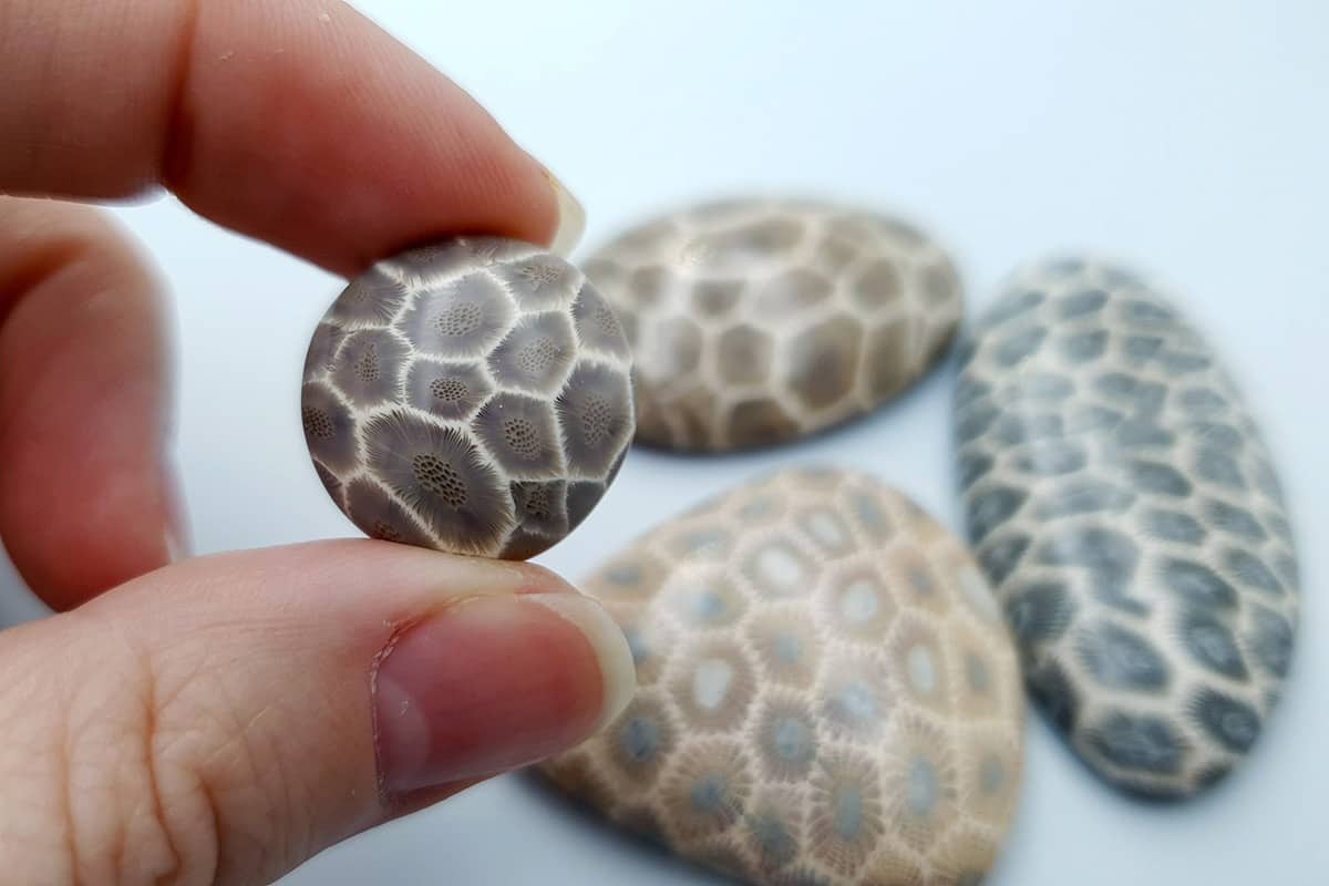 4 cabochons Faux Petoskey Stone from Polymer Clay Cabochons SweetyBijou Cabochons