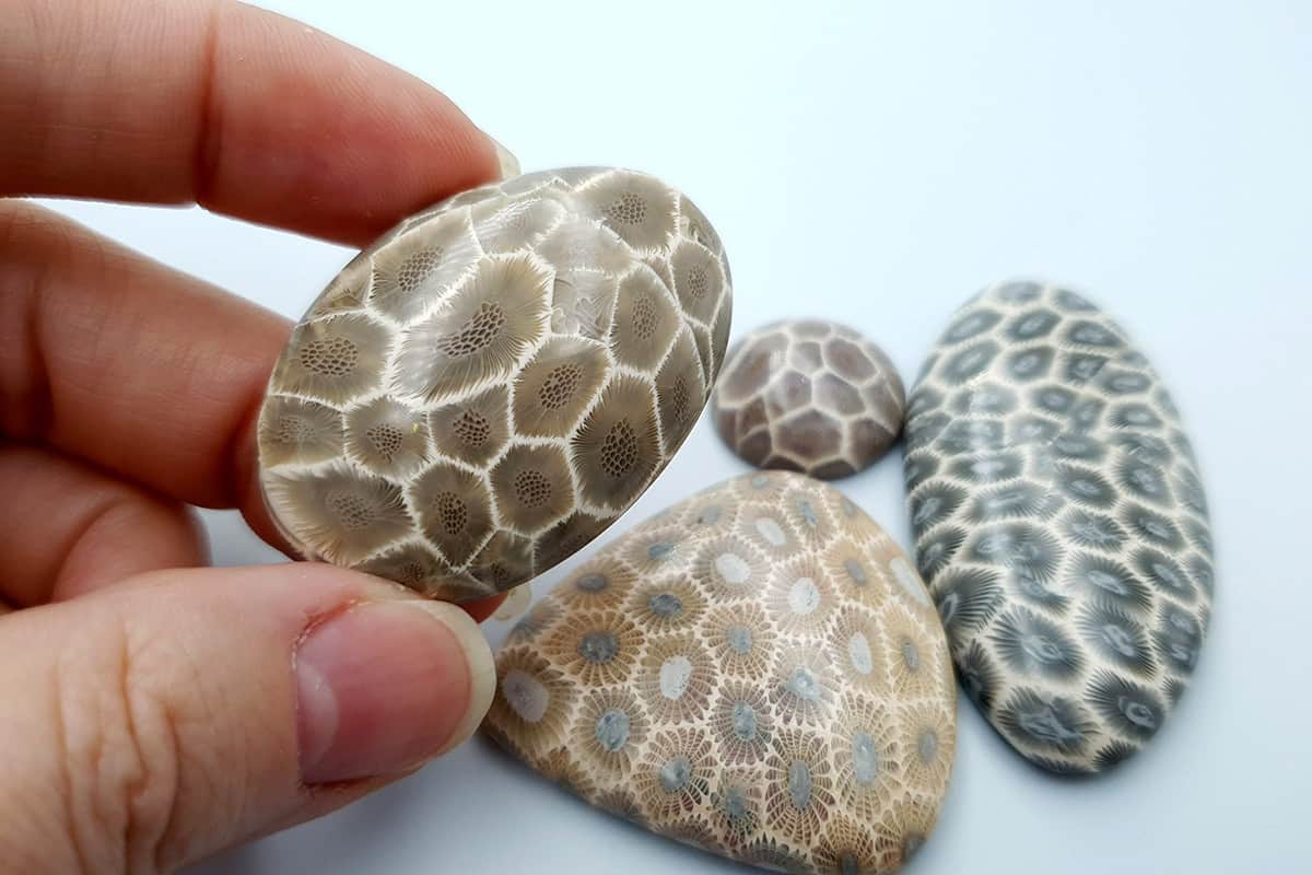 4 cabochons Faux Petoskey Stone from Polymer Clay Cabochons SweetyBijou Cabochons