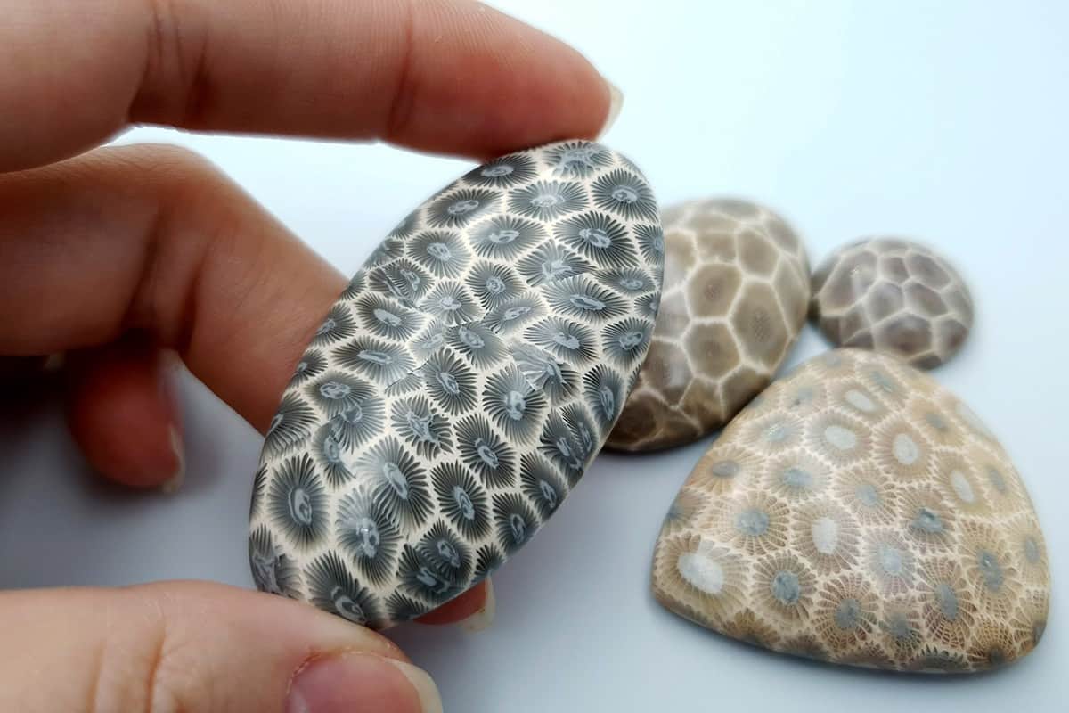 4 cabochons Faux Petoskey Stone from Polymer Clay Cabochons SweetyBijou Cabochons