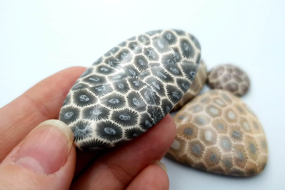 4 cabochons Faux Petoskey Stone from Polymer Clay Cabochons SweetyBijou Cabochons