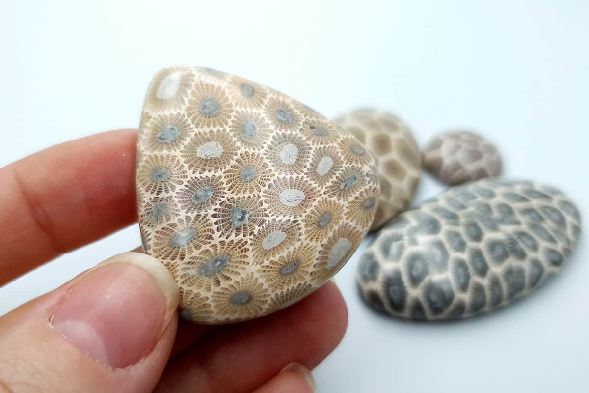4 cabochons Faux Petoskey Stone from Polymer Clay Cabochons SweetyBijou Cabochons