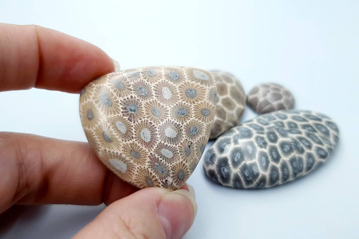 4 cabochons Faux Petoskey Stone from Polymer Clay Cabochons SweetyBijou Cabochons