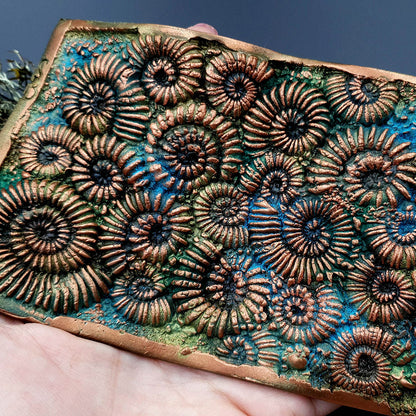 Silicone Texture Ammonites - 140x90mm
