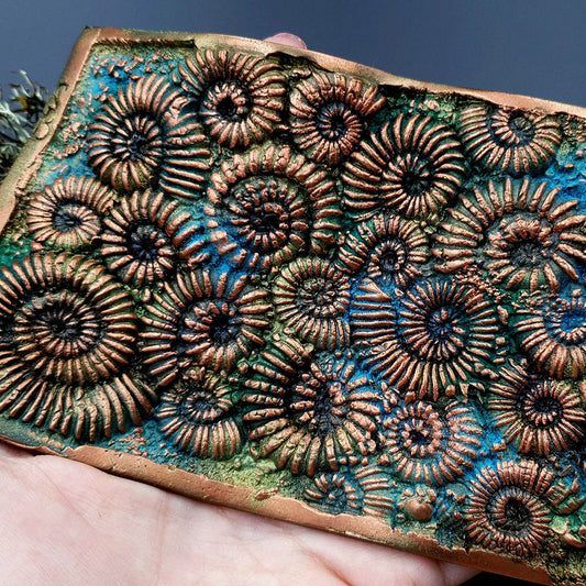 Silicone Texture Ammonites - 140x90mm