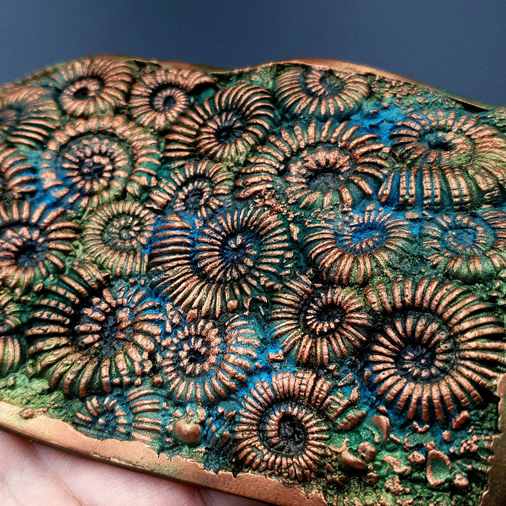 Silicone Texture Ammonites - 140x90mm