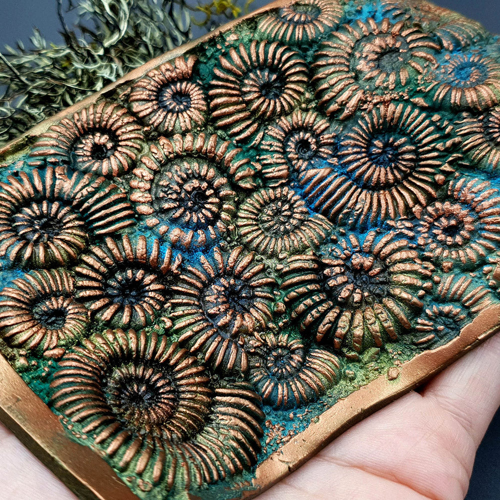 Silicone Texture Ammonites - 140x90mm