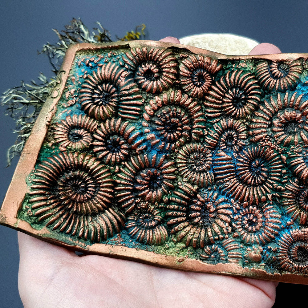 Silicone Texture Ammonites - 140x90mm