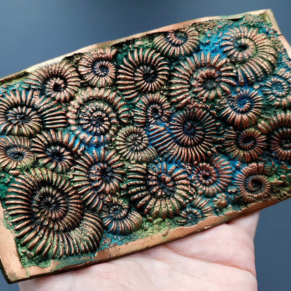 Silicone Texture Ammonites - 140x90mm