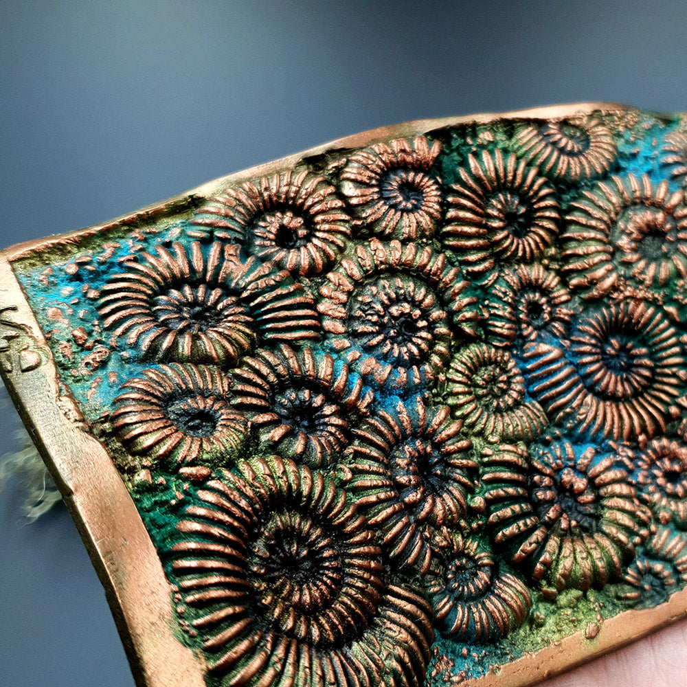 Silicone Texture Ammonites - 140x90mm