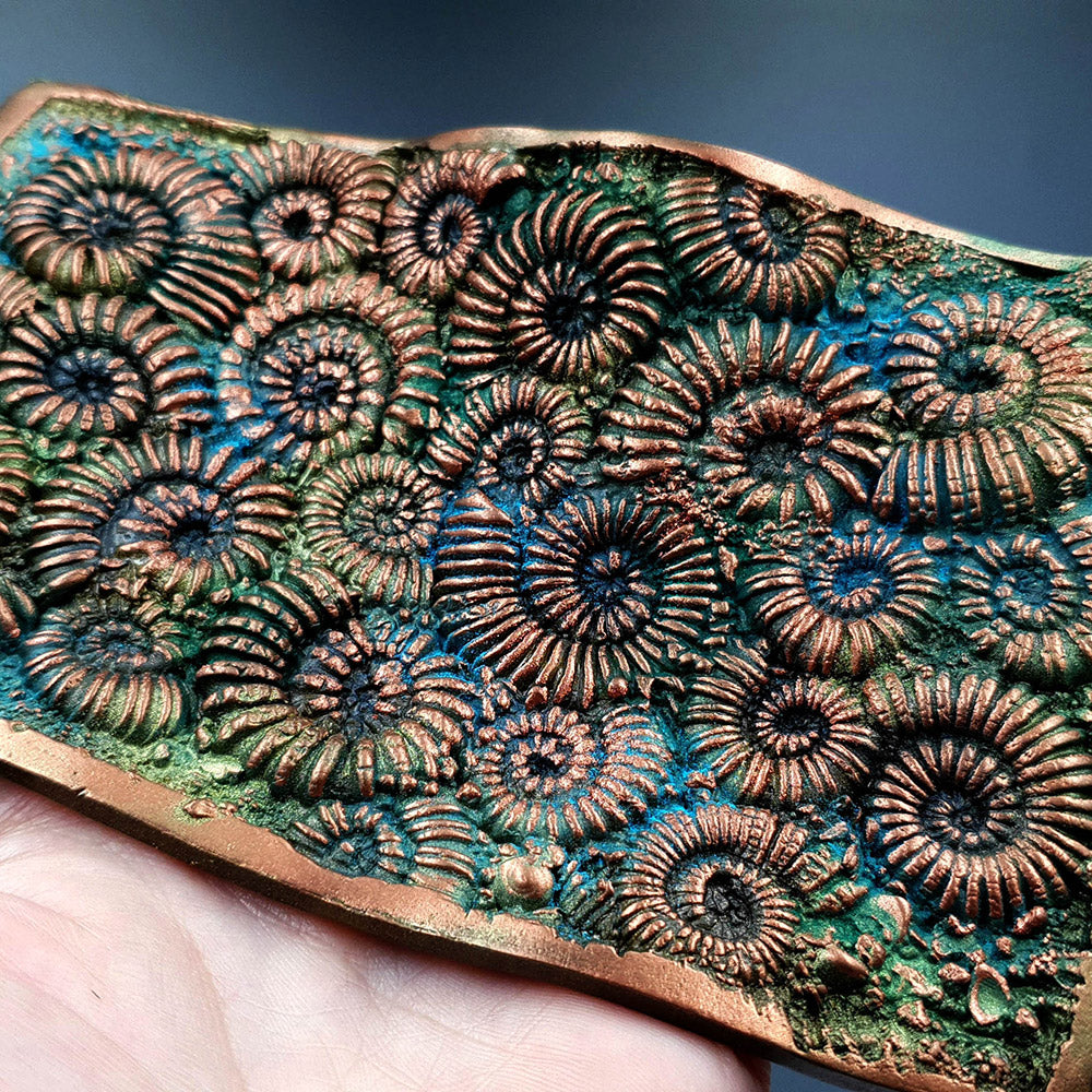 Silicone Texture Ammonites - 140x90mm