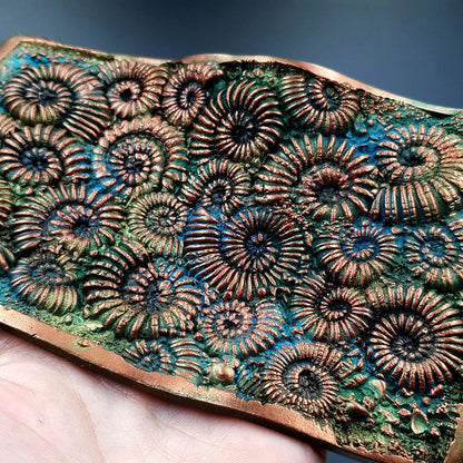 Silicone Texture Ammonites - 140x90mm