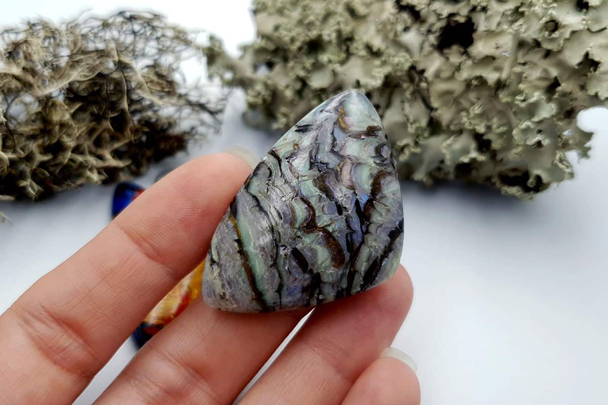 3 pcs Labradorite Pietersite Stone Mix (Set #6) Cabochons SweetyBijou Cabochons   