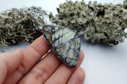 3 pcs Labradorite Pietersite Stone Mix (Set #6) Cabochons SweetyBijou Cabochons   