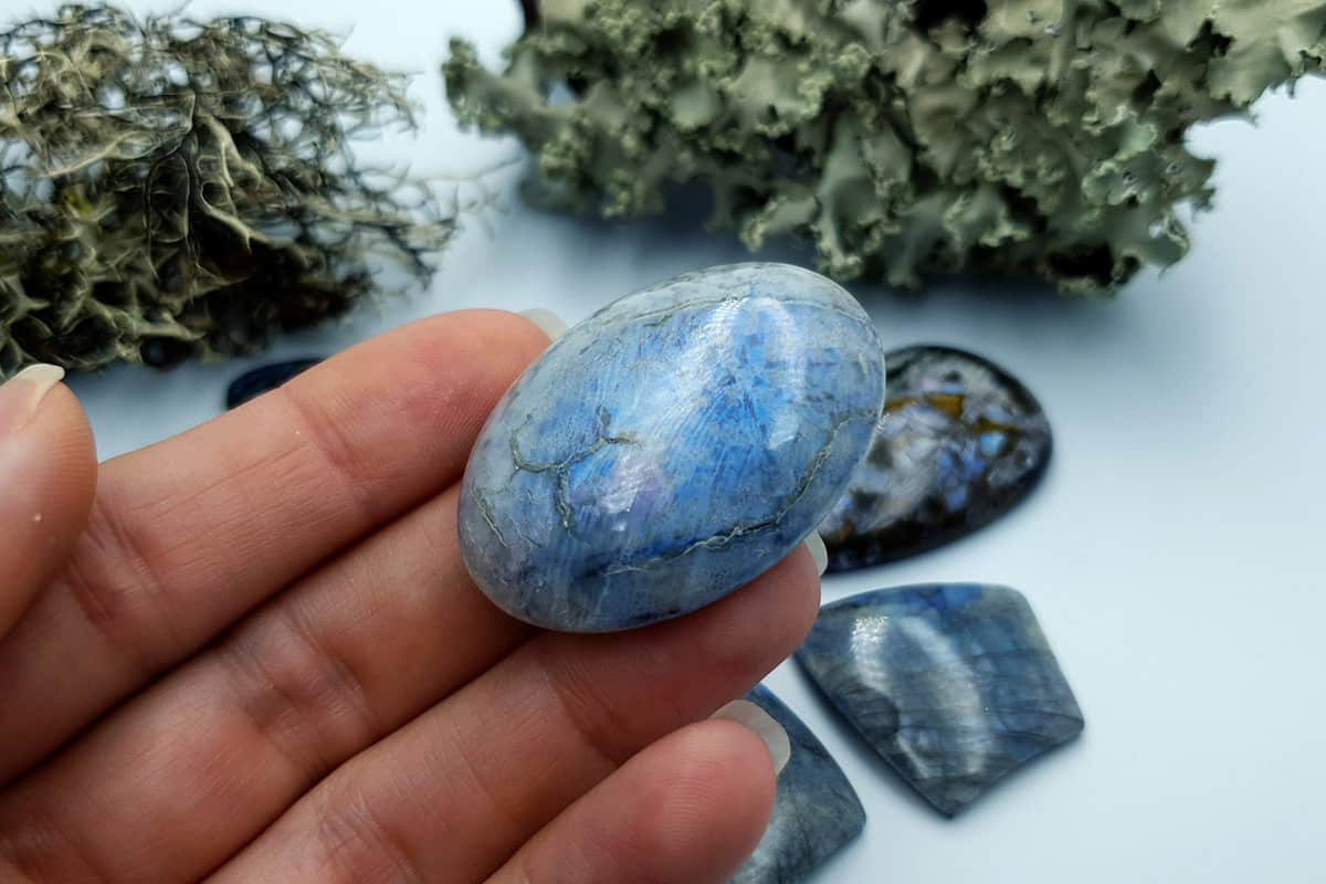 6 pcs Labradorite Pietersite Stone Mix (Set #8) Cabochons SweetyBijou Cabochons   