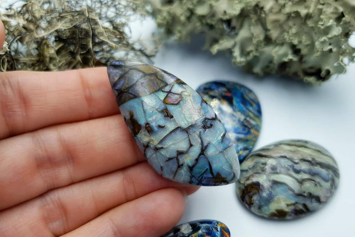 4 pcs Labradorite Pietersite Stone Mix (Set #11) Cabochons SweetyBijou Cabochons   