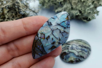 4 pcs Labradorite Pietersite Stone Mix (Set #11) Cabochons SweetyBijou Cabochons   