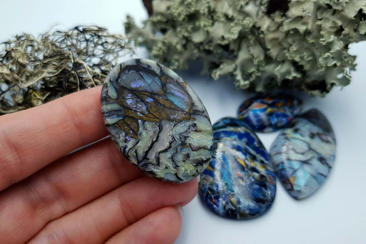 4 pcs Labradorite Pietersite Stone Mix (Set #11) Cabochons SweetyBijou Cabochons   