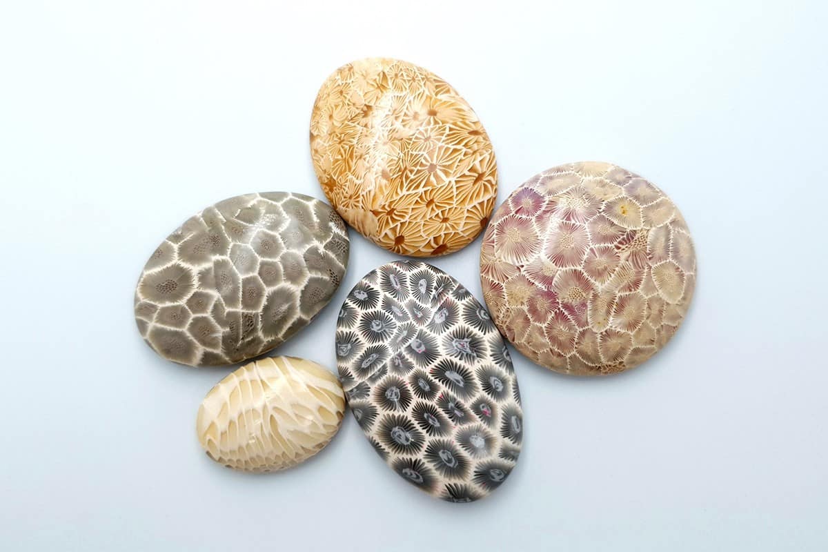 5 cabochons Faux Petoskey Stone, Polymer Clay Cabochons SweetyBijou Cabochons Default Title  