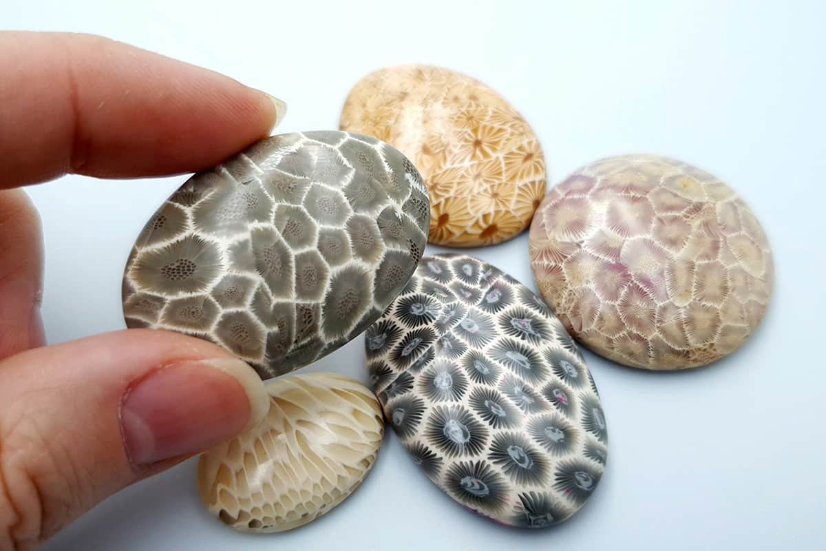 5 cabochons Faux Petoskey Stone, Polymer Clay Cabochons SweetyBijou Cabochons   