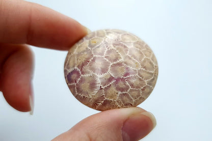 5 cabochons Faux Petoskey Stone, Polymer Clay Cabochons SweetyBijou Cabochons   