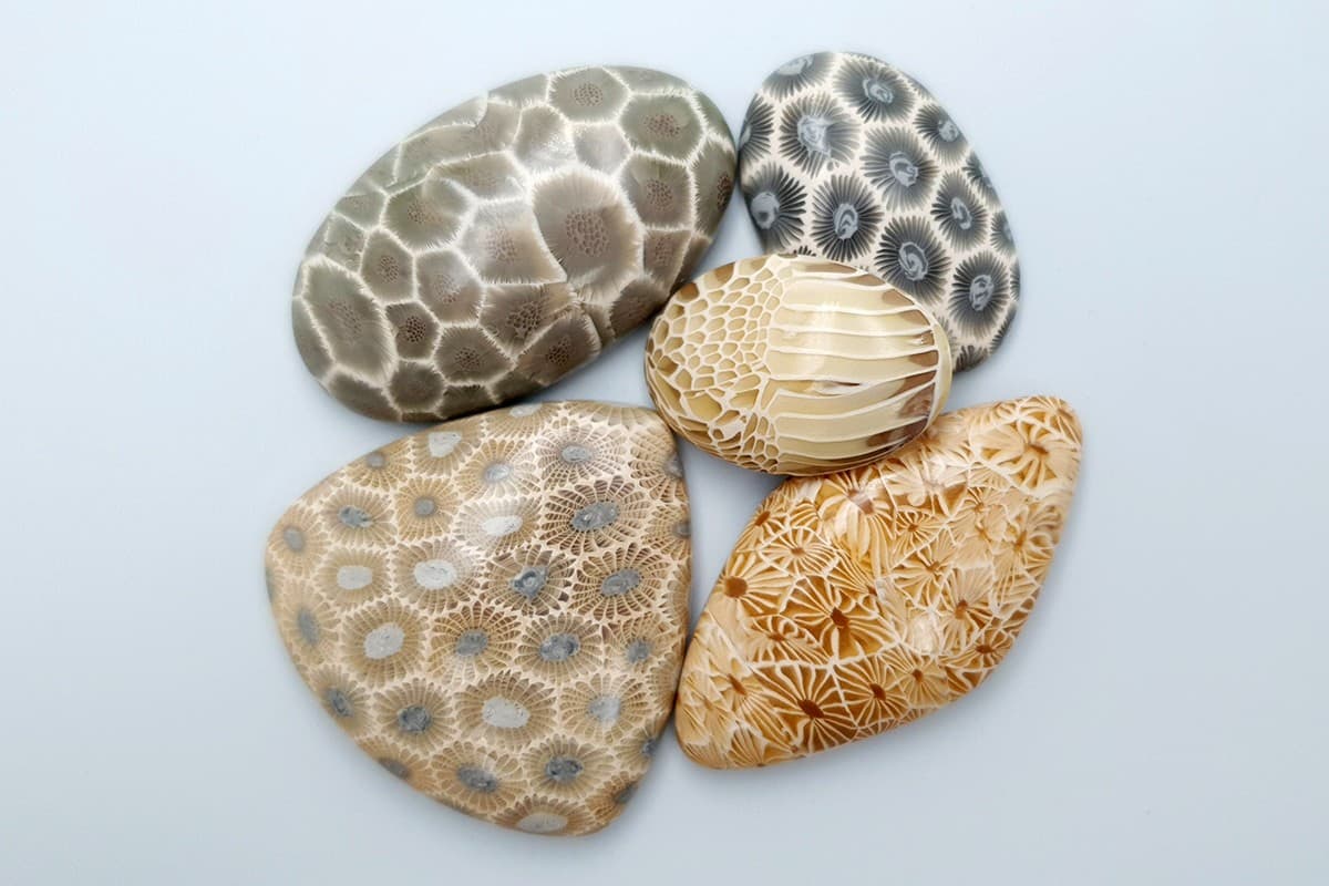 5 cabochons, Faux Petoskey Stone, Polymer Clay (#2) Cabochons SweetyBijou Cabochons Default Title  