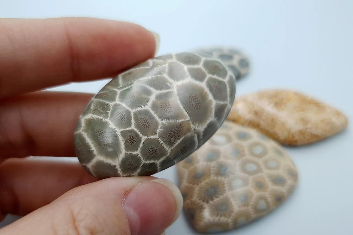 5 cabochons, Faux Petoskey Stone, Polymer Clay (#2) Cabochons SweetyBijou Cabochons   