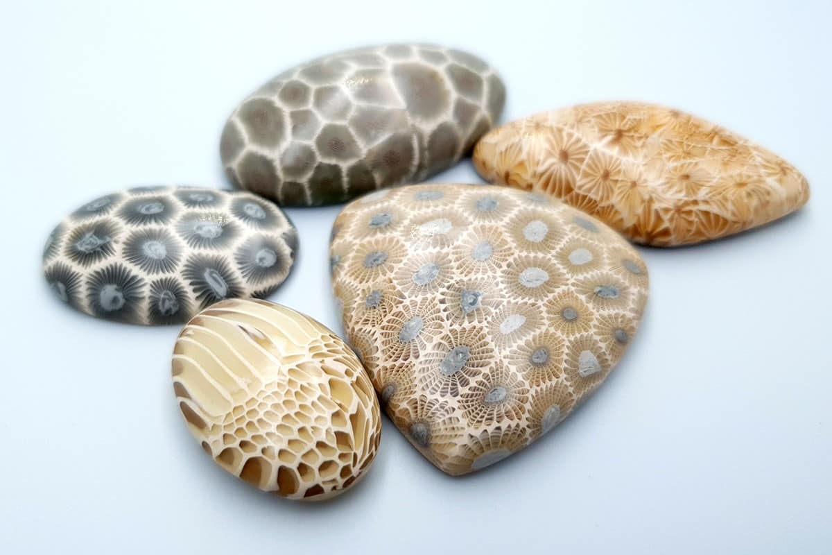5 cabochons, Faux Petoskey Stone, Polymer Clay (#2) Cabochons SweetyBijou Cabochons   