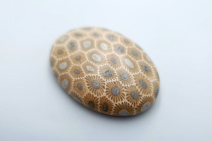 Cabochons Faux Petoskey Stone from Polymer Clay #7 Cabochons SweetyBijou Cabochons   