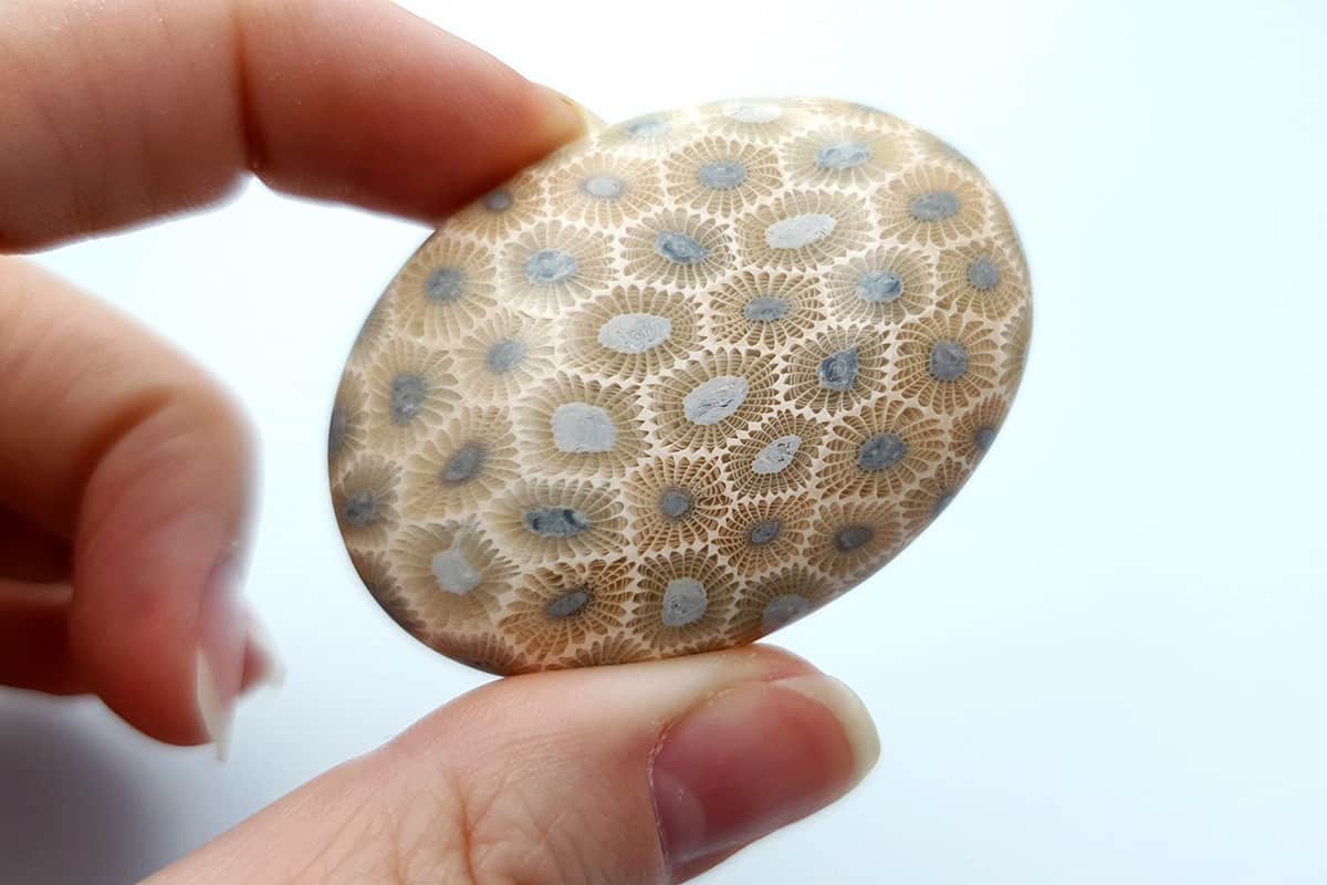 Cabochons Faux Petoskey Stone from Polymer Clay #7 Cabochons SweetyBijou Cabochons   