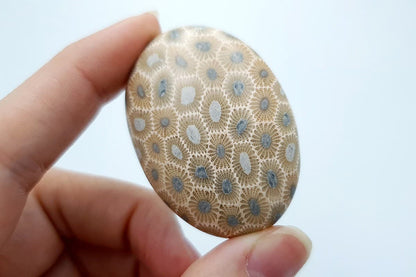 Cabochons Faux Petoskey Stone from Polymer Clay #7 Cabochons SweetyBijou Cabochons   