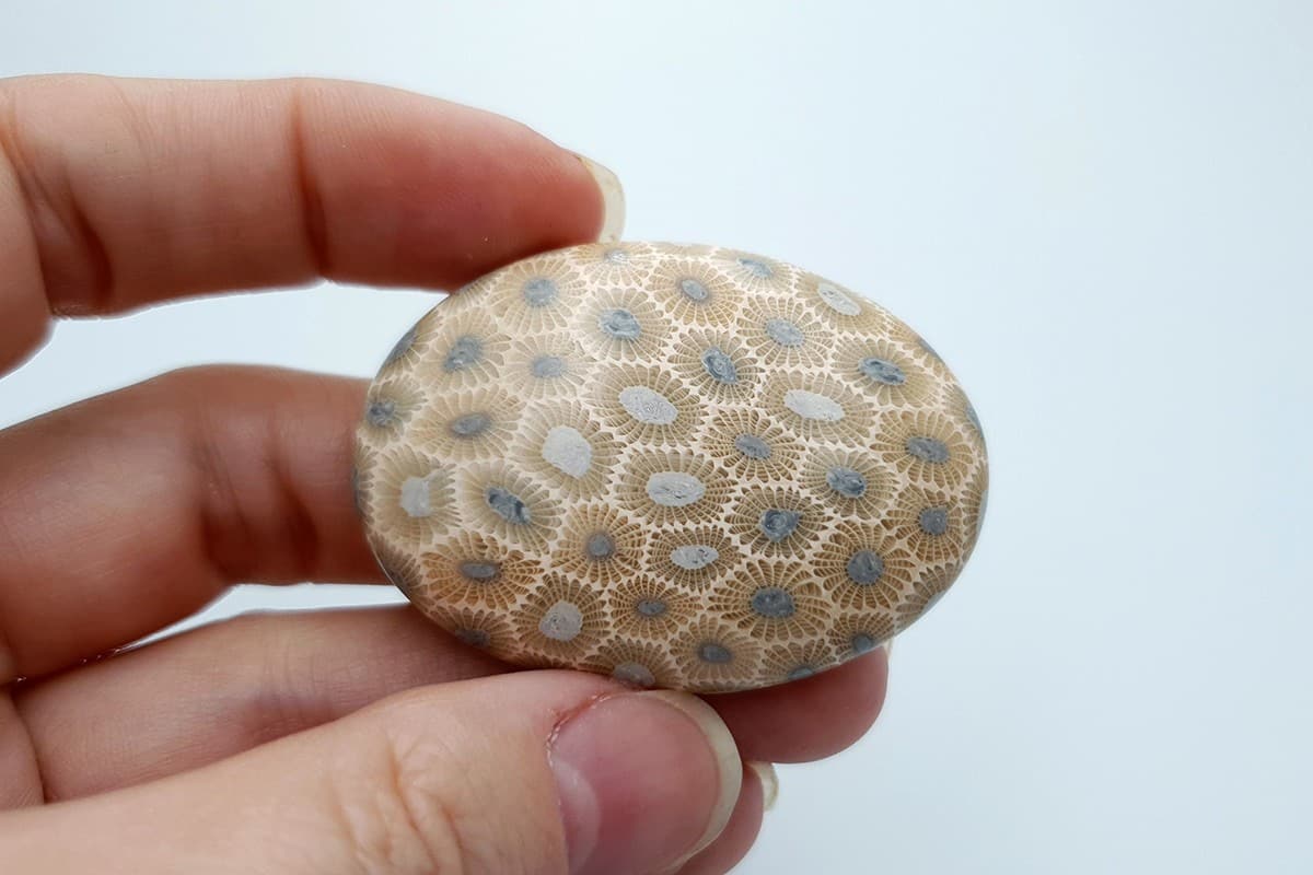 Cabochons Faux Petoskey Stone from Polymer Clay #7 Cabochons SweetyBijou Cabochons   