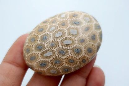 Cabochons Faux Petoskey Stone from Polymer Clay #7 Cabochons SweetyBijou Cabochons   